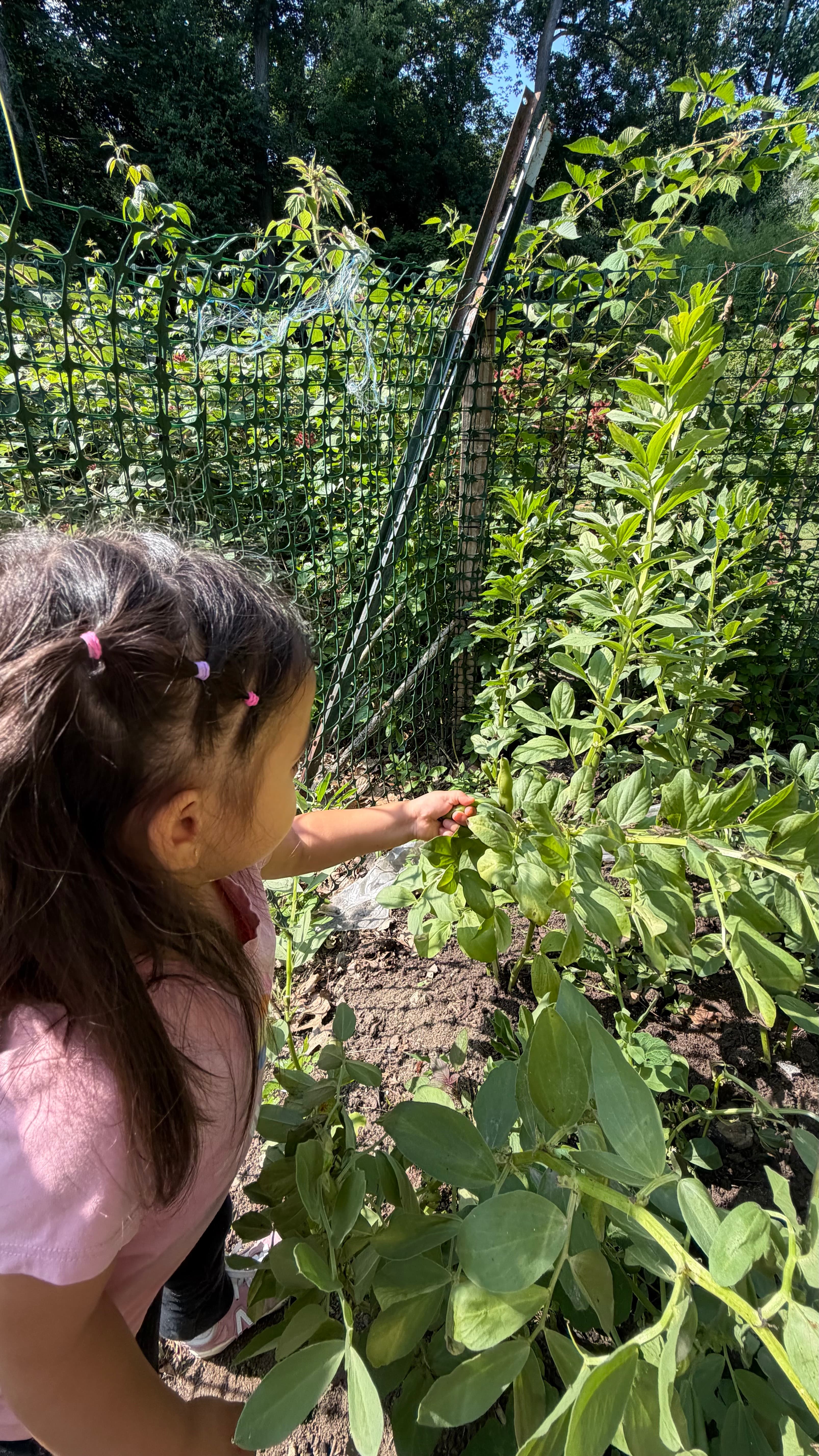 Children exploring their senses through our garden