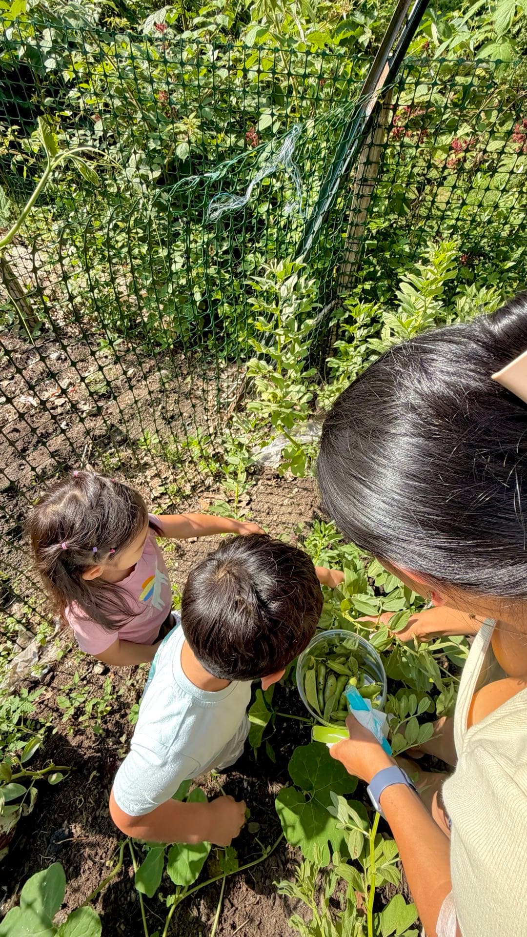 Toddler exploring outdoors with a caregiver